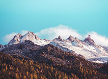 《暗黑破坏神4》第11赛季：狂热圣骑士横扫千军